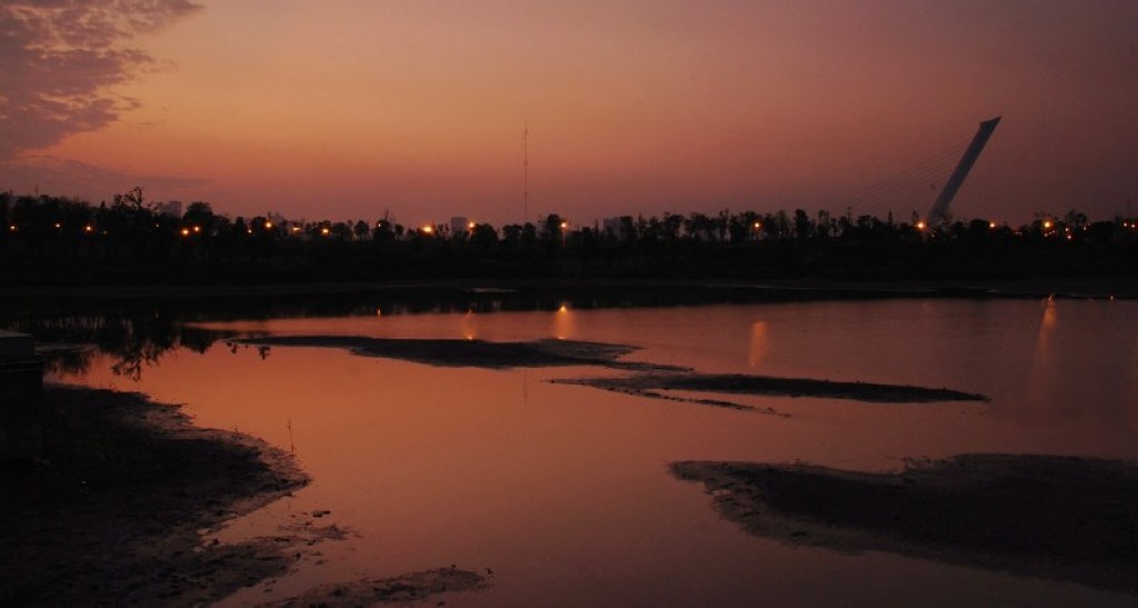DSC_0519x.jpg