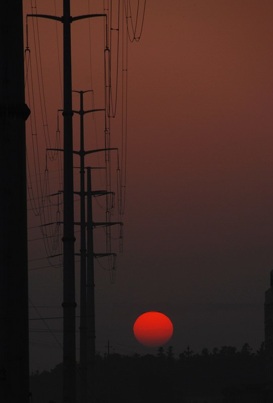 DSC_0486x.jpg