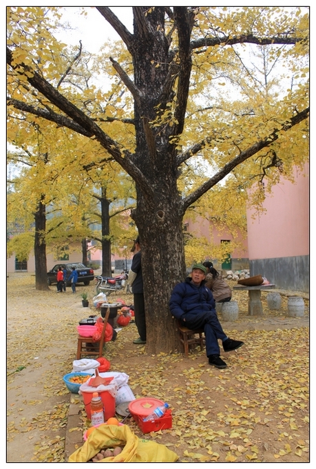 ������ 196.jpg