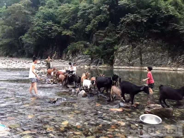 ΢��ͼƬ_20170807171628.jpg