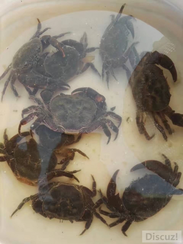 ΢��ͼƬ_20170807171454.jpg