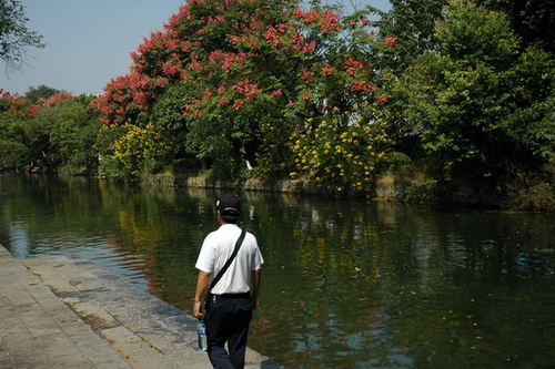 DSC_7838.jpg