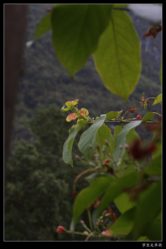 IMG_7792.jpg
