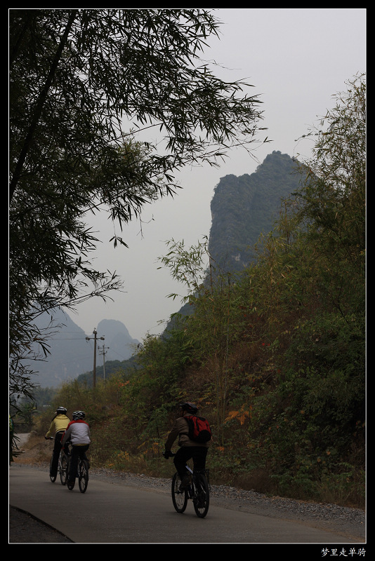 IMG_7802.jpg