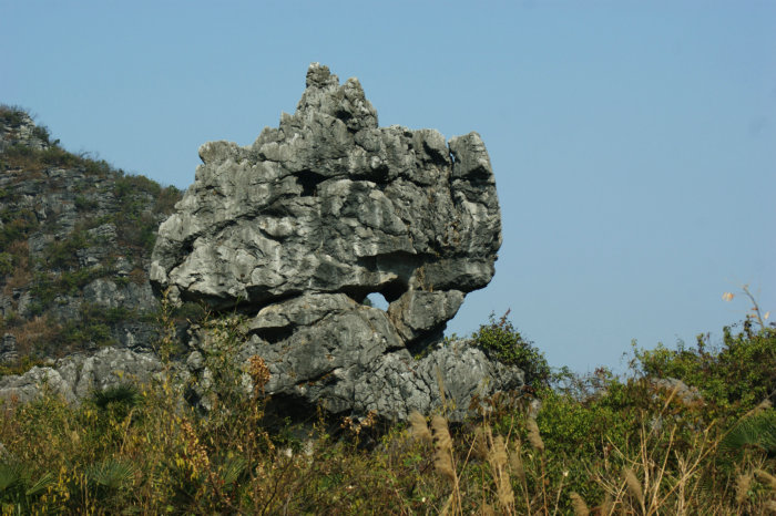 DSC09771.jpg