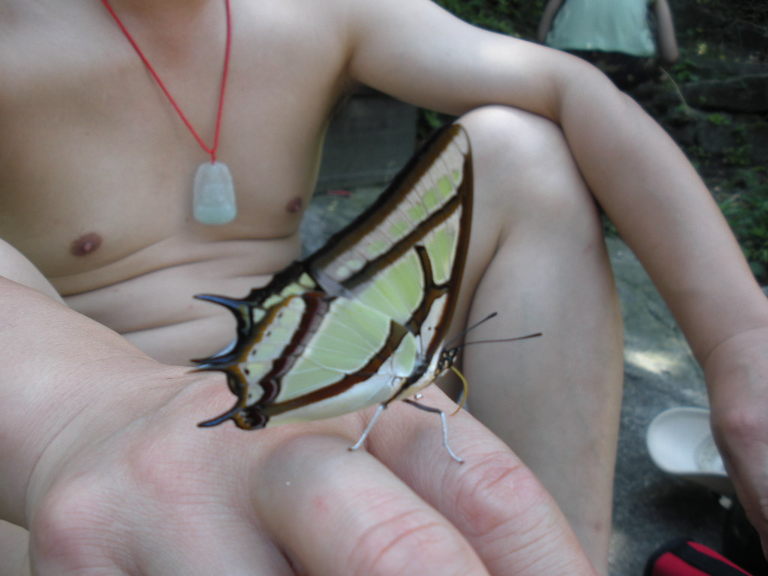 DSCN2515.JPG