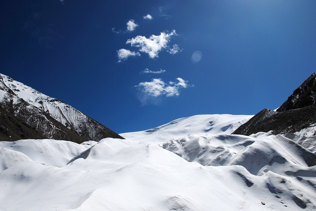 DSC_9780.jpg