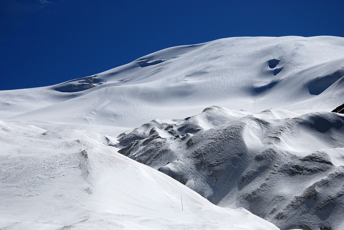 DSC_9782.jpg