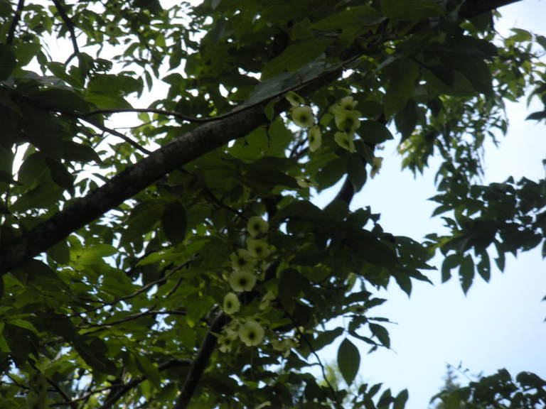 DSCN2558.JPG