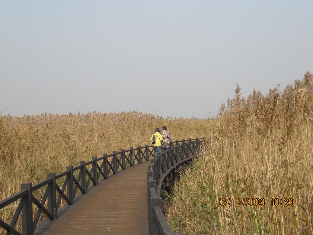 ��Ƭ 061.jpg