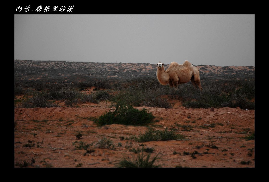 DSC_8613.jpg