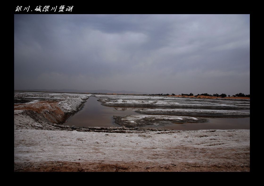 DSC_8616.jpg