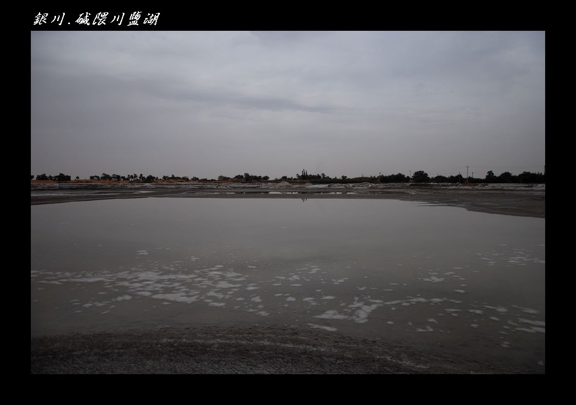 DSC_8630.jpg