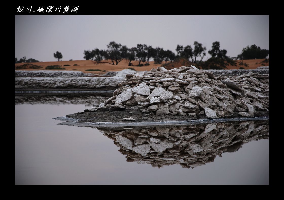 DSC_8639.jpg