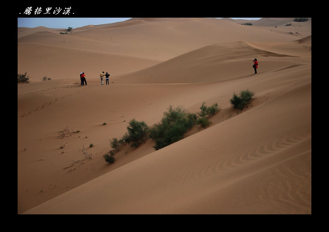 DSC_8666.jpg
