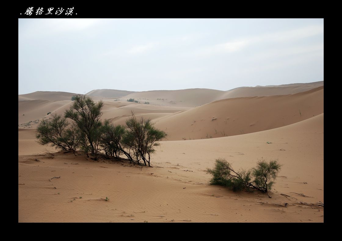 DSC_8667.jpg