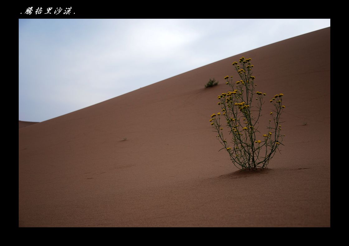 DSC_8704.jpg