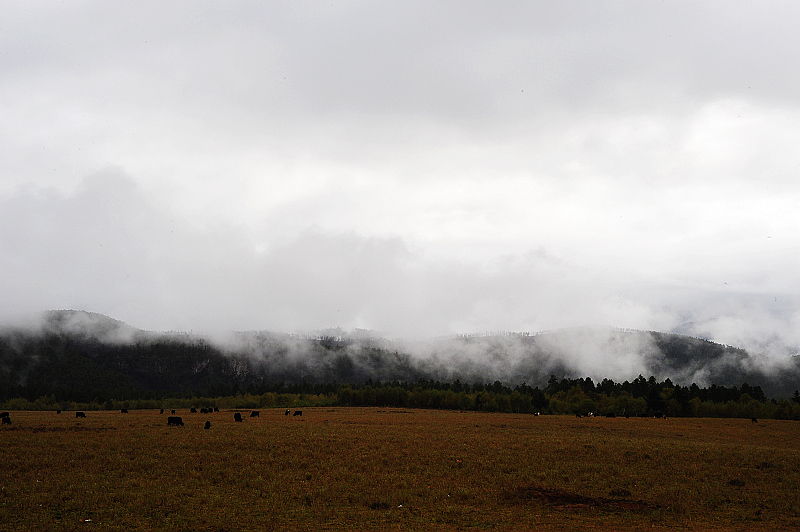 DSC_5189.JPG