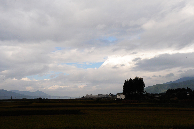 DSC_5492.JPG