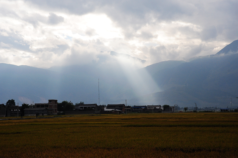 DSC_5508.JPG