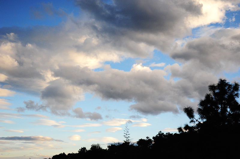 DSC_5534.JPG