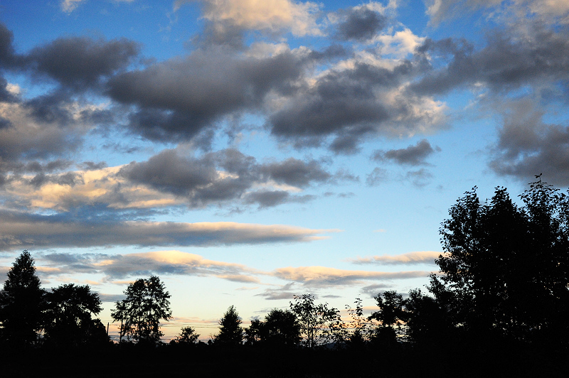 DSC_5537.JPG
