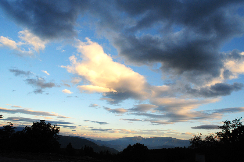 DSC_5550.JPG