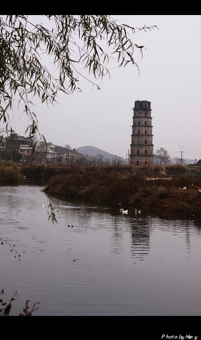 _MG_5678.jpg