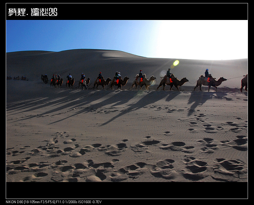 nEO_IMG_DSC_0097.jpg