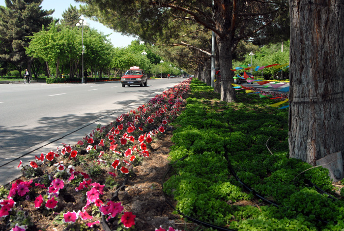 53.�ʻ�ʢ����ʯ���ӽֵ�.JPG