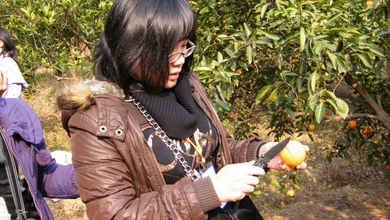 DSCF0237.jpg