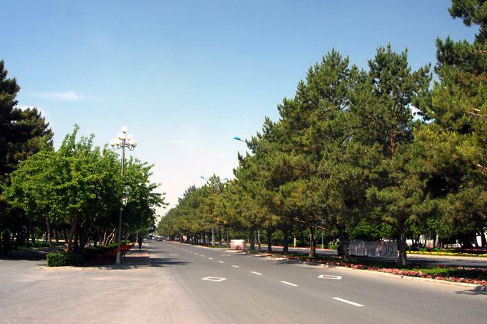 60.�ɾ������ʯ���ӽֵ�.JPG