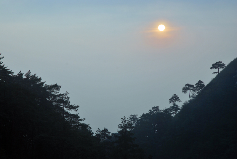 CSC_0308.JPG