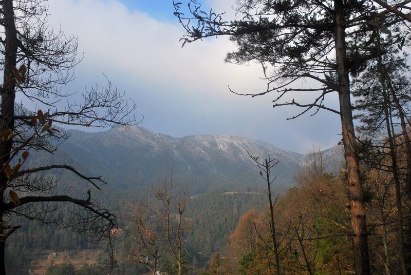 CSC_0309.JPG