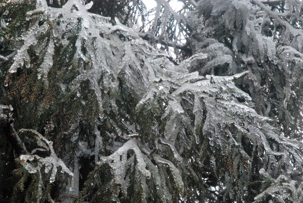 CSC_0312.JPG