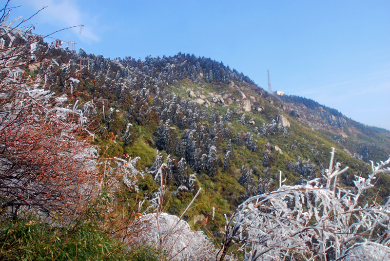 CSC_0354.JPG
