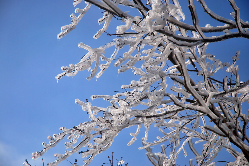 CSC_0357.JPG