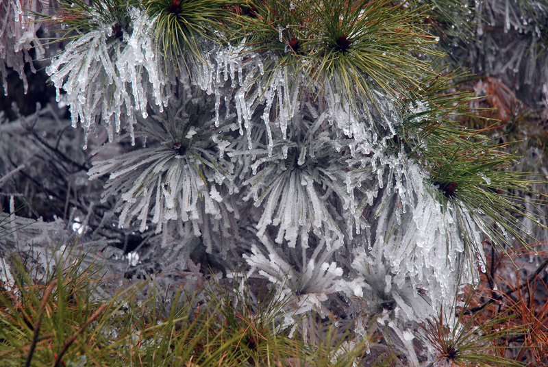 CSC_0411.JPG