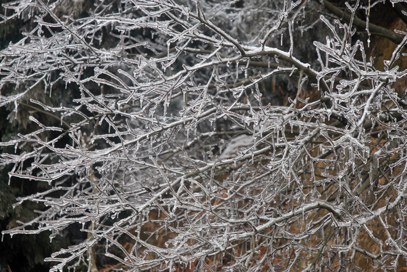 CSC_0437.JPG