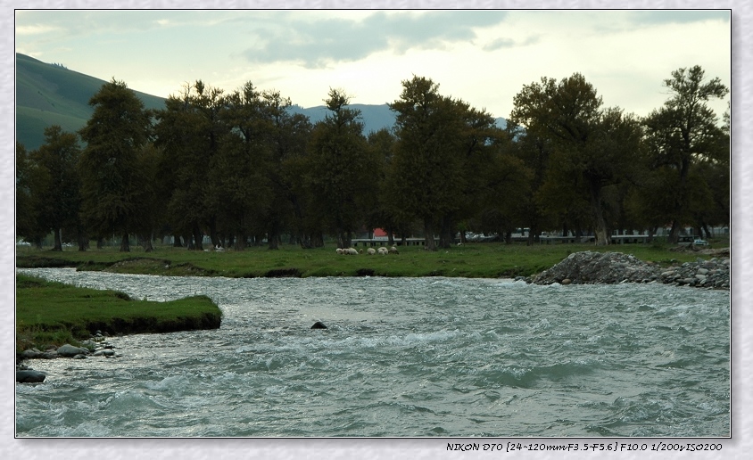 DSC_3773.jpg