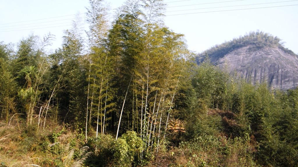 DSCF0075.jpg