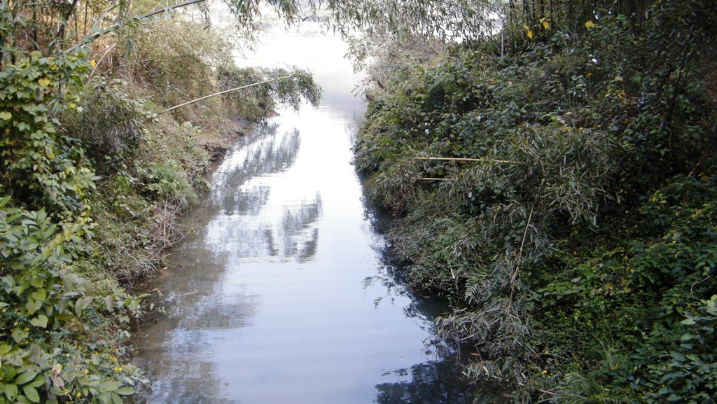 DSCF0079.jpg