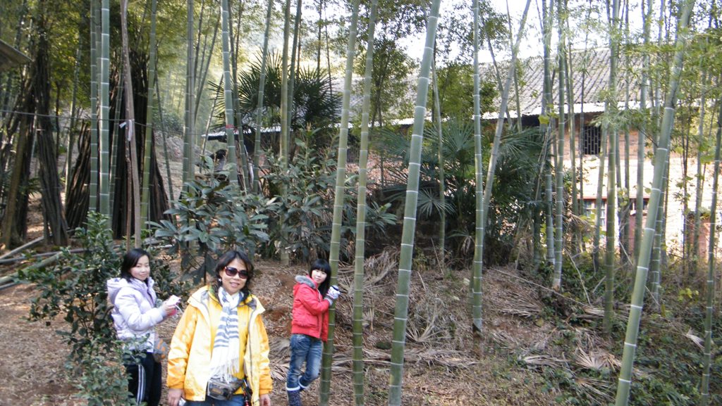 DSCF0089.jpg