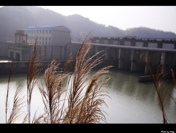 _MG_5335.jpg