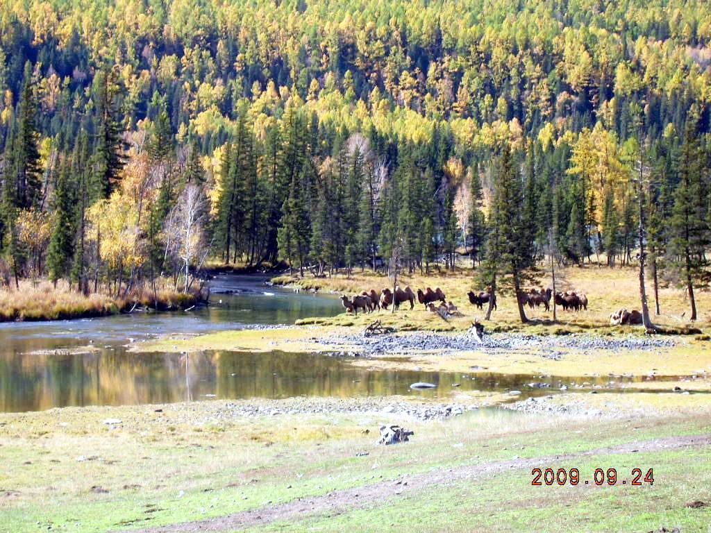 DSCN3098.JPG