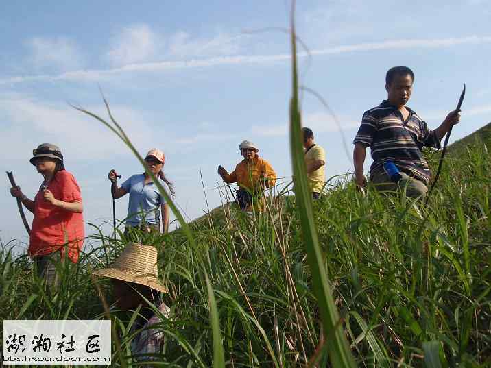 20090608163855421-1645087.jpg