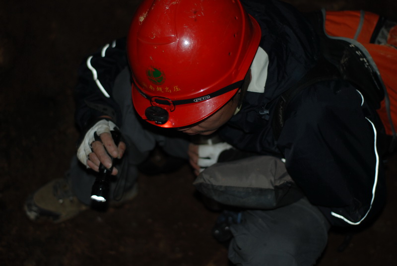 DSC_0131.JPG