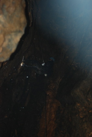 DSC_0154.JPG
