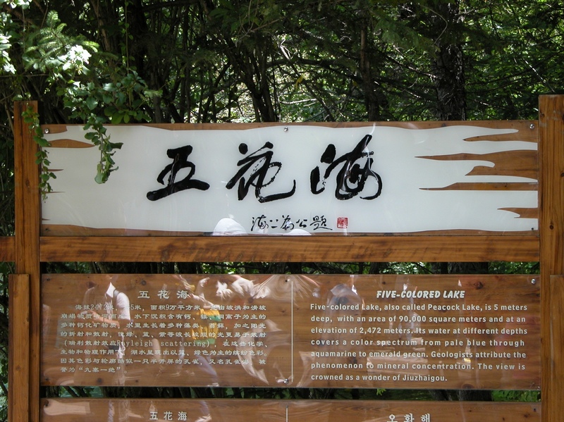 DSCN0094.jpg