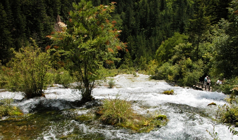DSCN0098.jpg